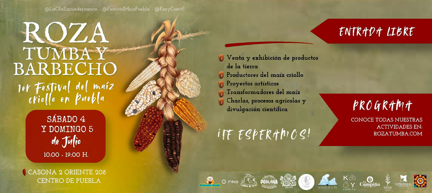 Rosa Tumba y Barbecho